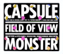 CAPSULE